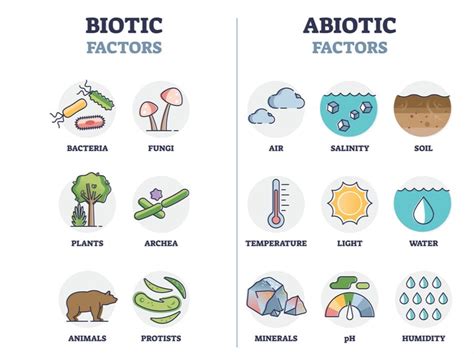 An introduction to life process — lesson. Science CBSE, Class 10.