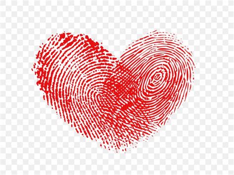 Heart Fingerprint Raster Graphics, PNG, 1150x864px, Watercolor, Cartoon, Flower, Frame, Heart ...