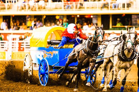 Calgary Stampede Chuckwagon Racing | Calgary Stampede Chuckw… | Flickr