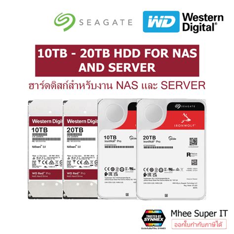 Harddisk HDD NAS SERVER 10TB - 20TB Seagate IronWolf / WD Red / Toshiba N300 / WD Ultrastar ...