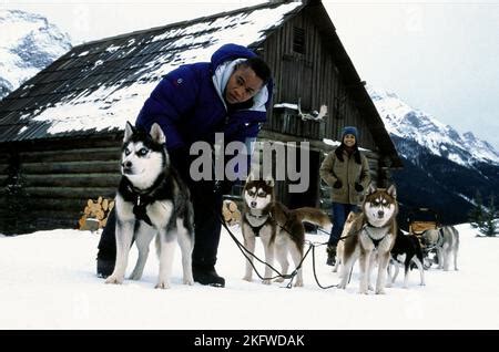 CUBA GOODING JR., JOANNA BACALSO, SNOW DOGS, 2002 Stock Photo - Alamy