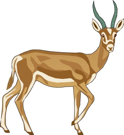 Gazelle impala clipart 20 free Cliparts | Download images on Clipground 2024