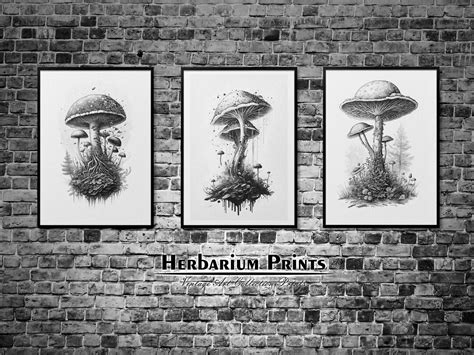 Printable Black Ink Mushroom Fungus Set of 3 Paintings - Etsy