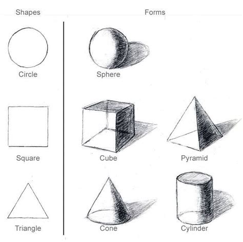 Pin by Elizabeth Campbell on Foundations Cycle 2 Art | Basic drawing, Art lessons, Drawing lessons