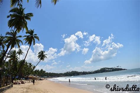 Palolem Beach (Canacona) - 2020 All You Need to Know BEFORE You Go ...