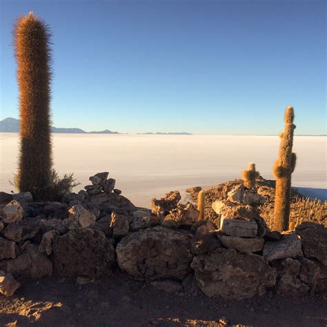 Cactus Island and Salt Flats in Salar de Uyuni, Bolivia