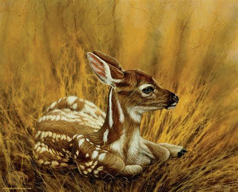 Animal Painting 16x20 Canvas Dorothy the Deer - Original Oil by Cheri ...