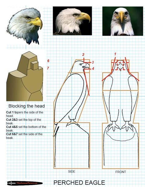 Image result for fish eagle wood carving patterns for beginners ...