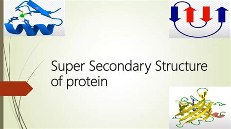 Super secondary structure of protein | PPT