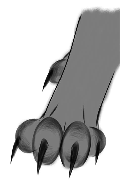 Cat Claws by KodiakAussieArt on DeviantArt