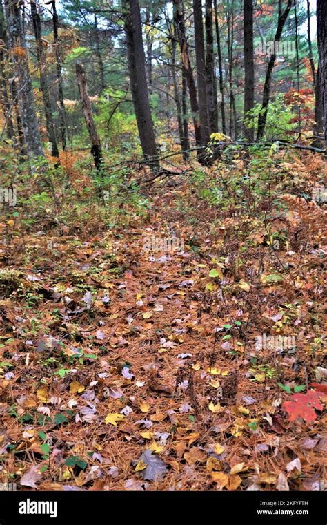 An autumn scene of the Fort McCoy Pine View Recreation Area is shown ...