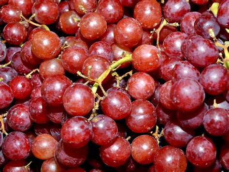 Red seedless grapes | Red seedless grapes | Perl Photography | Flickr