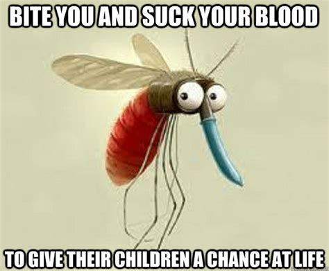 Misunderstood Mosquito memes | quickmeme