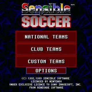 Sensible Soccer 92/93 (Game) - Giant Bomb