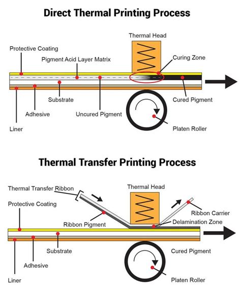 Thermal Transfer Printing | Positive ID | 01332 864 895