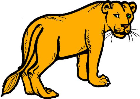 Lioness clipart - Clipground