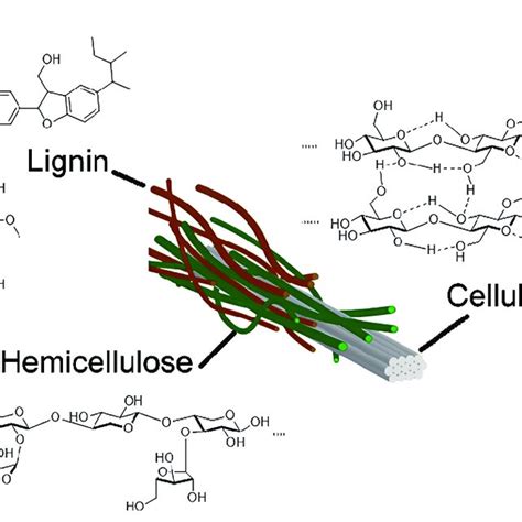 Extraction of cellulose from lignocellulosic biomass using different... | Download Scientific ...