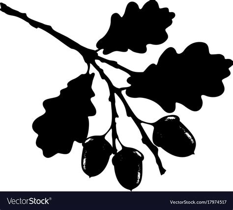 Ecology stylized vector illustration. Oak leaf, acorn and branch isolated silhouette. Eco nature ...