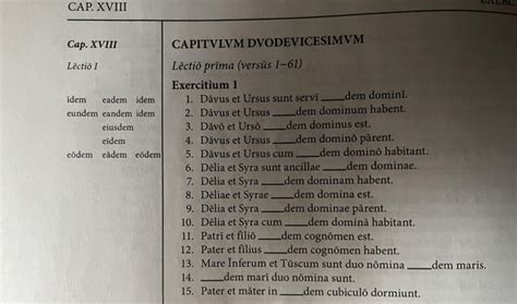 I made a Latin declension chart despite not knowing any Latin : r/latin