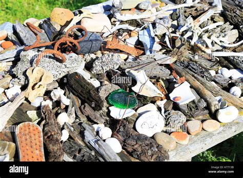 Beachcombing finds display, Shingle Street, Suffolk, England, Uk Stock ...