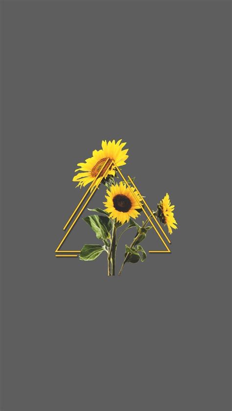 Discover 66+ aesthetic sunflower wallpaper hd latest - in.cdgdbentre