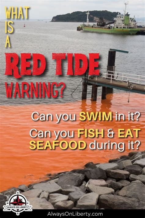 Red Tide Dangers & Health Risks (Must Read for Beach Goers!)