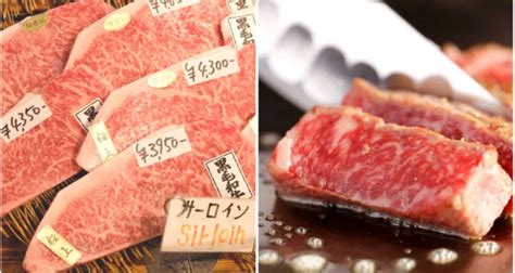 Is All Beef in Japan Wagyu? A Guide to Japan's Beef Types and Brands ...