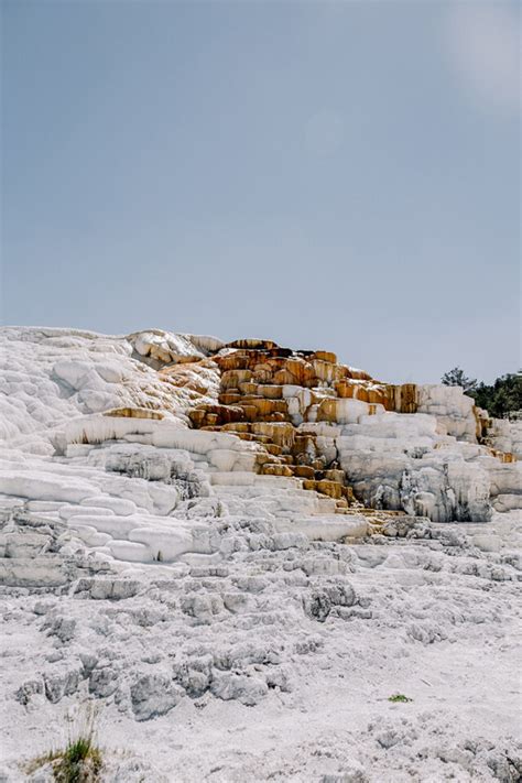 Yellowstone in Winter: Everything You Need to Know for A Spectacular ...