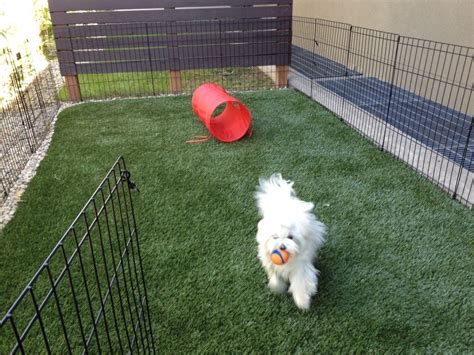 Pet Turf | Artificial Grass For Dogs | Synthetic Turf