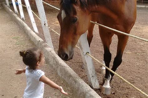 Horse Riding Is For Everyone At Japalouppe Equestrian Centre In Pune ...