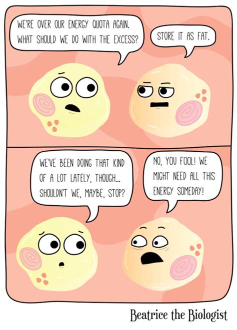 fat cells - Meme by raisaned1 :) Memedroid