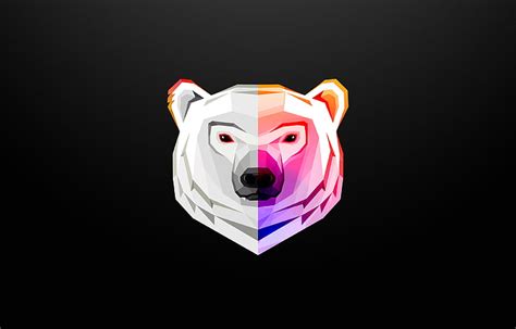 HD wallpaper: gray and purple bear face illustration, 4K, abstract ...