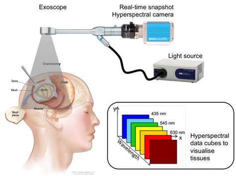 Computational extraction of semantic information from hyperspectral ...