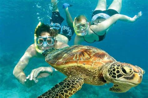 Best Snorkeling In Phuket - Top 10 Snorkelling Destination