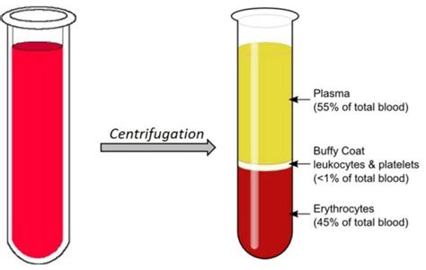 Bombay Blood Group is extremely rare (1 in 4 million) - PMF IAS