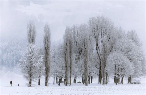 Visiter le Dongbei (ou Mandchourie), la Chine du Nord-Est