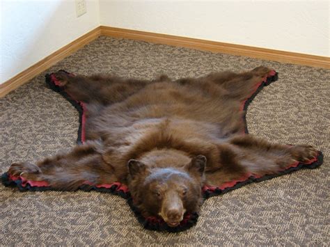 Real Bear Skin Rug | Home Design Ideas