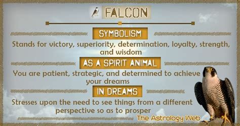 Falcon Meaning and Symbolism | The Astrology Web | Spirit animal meaning, Animal spirit guides ...