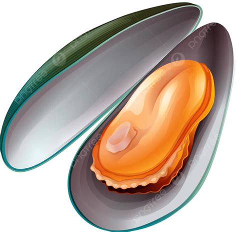 Mussel Cartoon Clipart Drawing Vector, Drawing Clipart, Cartoon Clipart ...