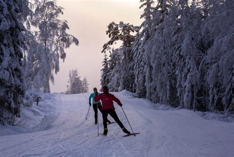 Top 10 Winter Activities in Sweden | sweetsweden