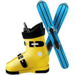 Skis Emoji (U+1F3BF)