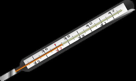 Significado de Febrícula - Qué es, Definición y Concepto