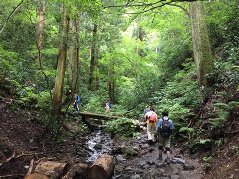 The Beginner’s Guide to Mt. Takao | Mt. Takao Magazine