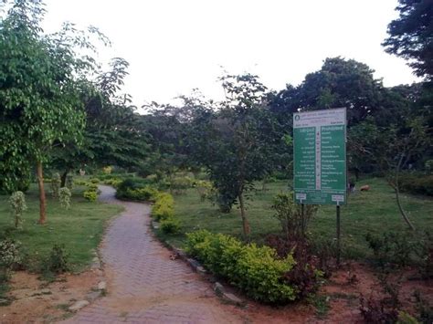 Domlur Park - Bengaluru