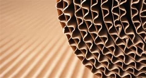 The Future of Global Corrugated Board Packaging to 2025 | Market ...