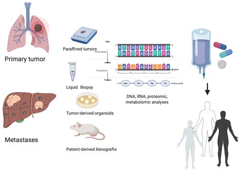 Solid Cancer Types