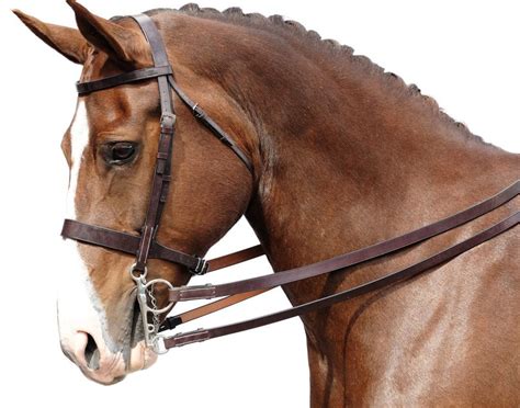 What Kind Of Bridles Are There - Best Horse Gears