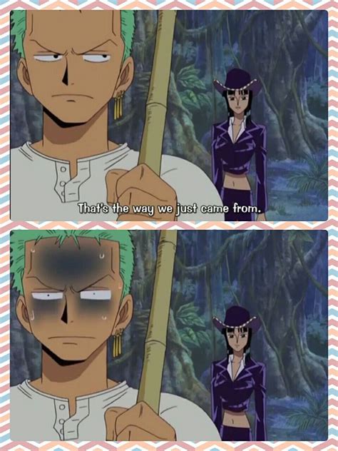 Funny Zoro and Robin Moments | One Piece Photo Collages