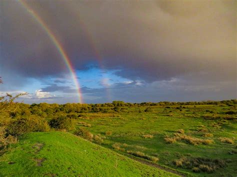 Introducing Staines Moor - Colne Valley Regional Park