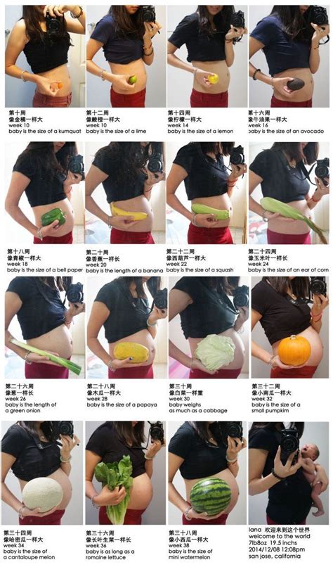 51 best Pregnancy Belly Growth Photo Ideas images on Pinterest | Pregnancy photos, Maternity ...